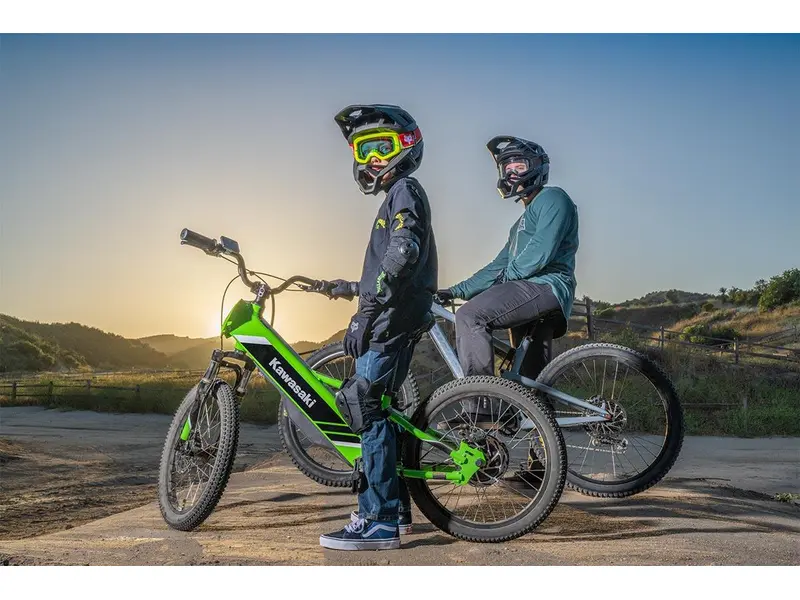 2025 Kawasaki ELEkTRODE 20 po