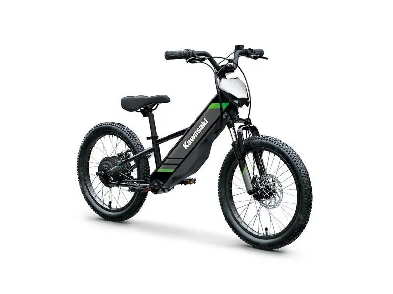 2025 Kawasaki Elektrode 20
