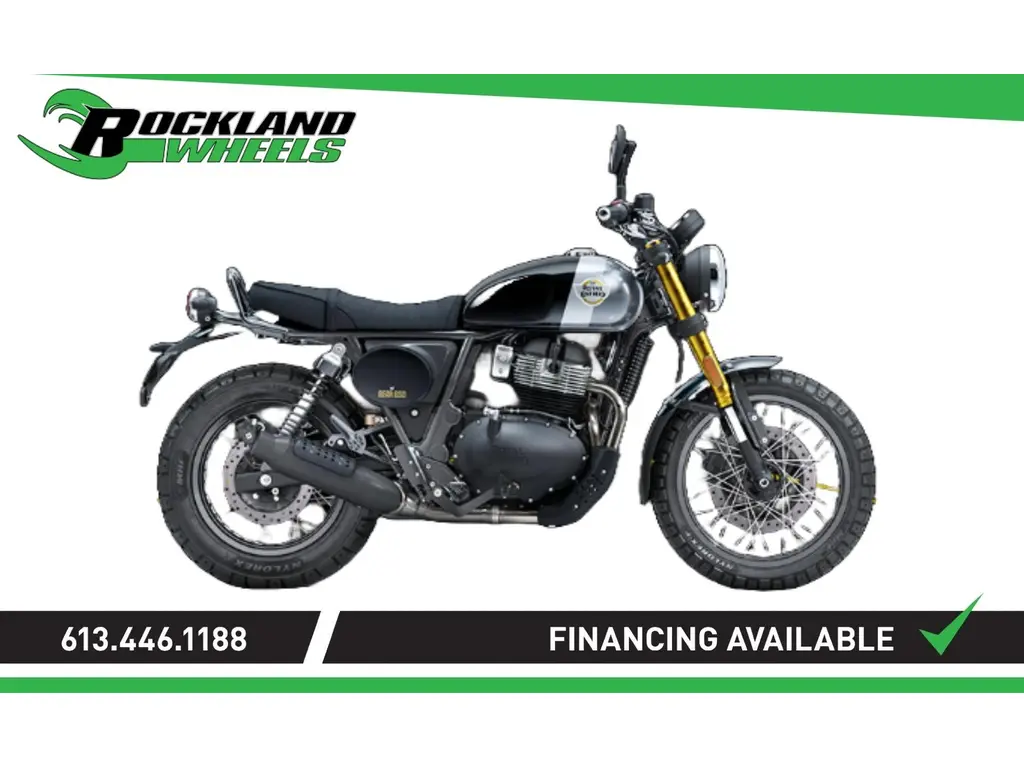 Royal Enfield INTERCEPTOR BEAR 650 - GOLDEN SHADOW 2025