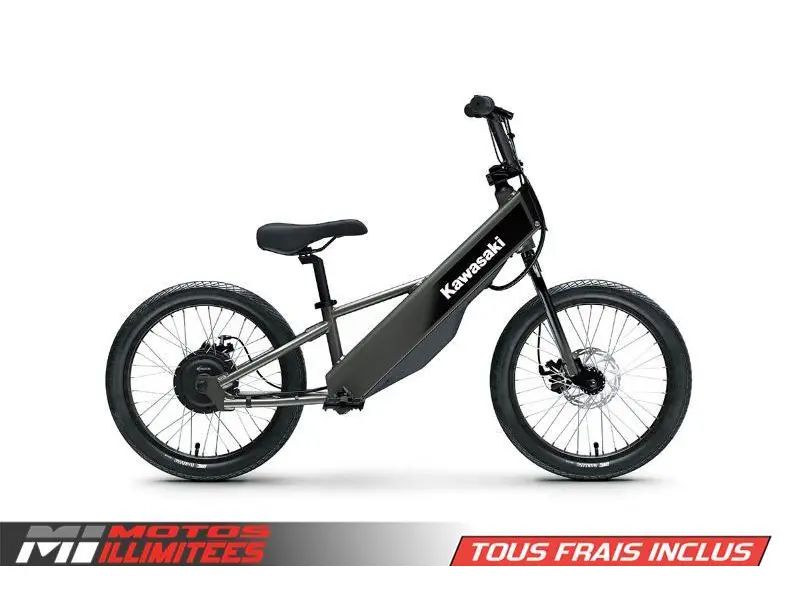 2025 Kawasaki Elektrode 20FS