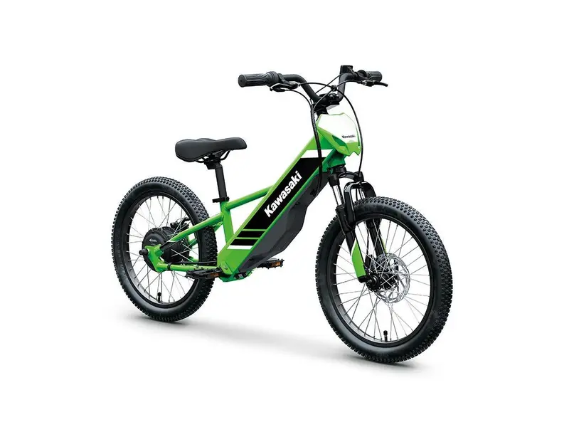 2025 Kawasaki ELEkTRODE 20 po