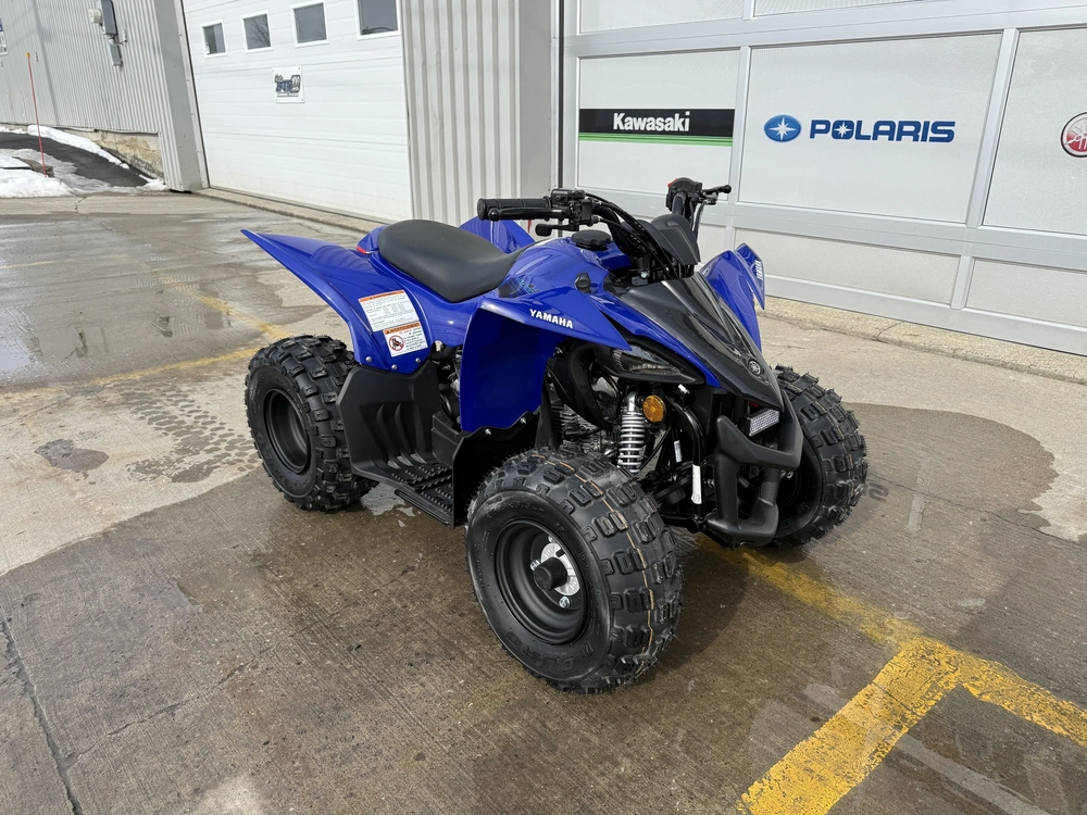2025 Yamaha Yfz50 alt