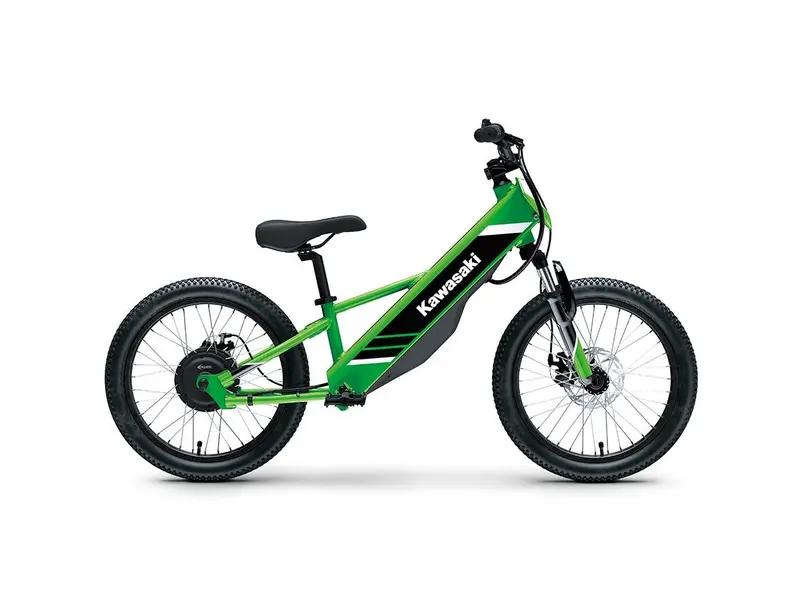 2025 Kawasaki ELEkTRODE 20 po