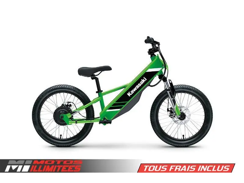 2025 Kawasaki ELEKTRODE 20