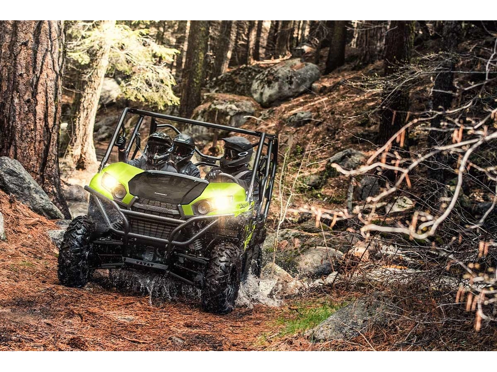 Kawasaki Teryx4 2025 alt