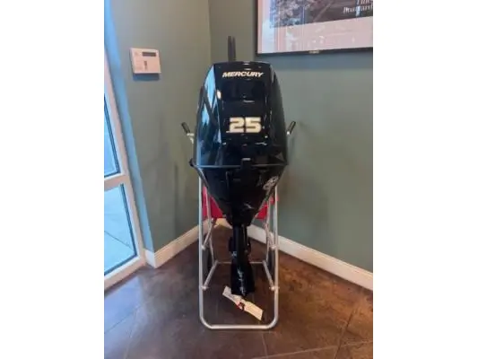 2025 Mercury 20ELHPT 4S 