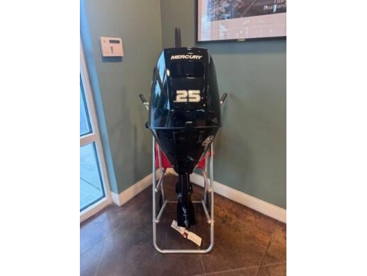 2025 Mercury 20elhpt 4s alt