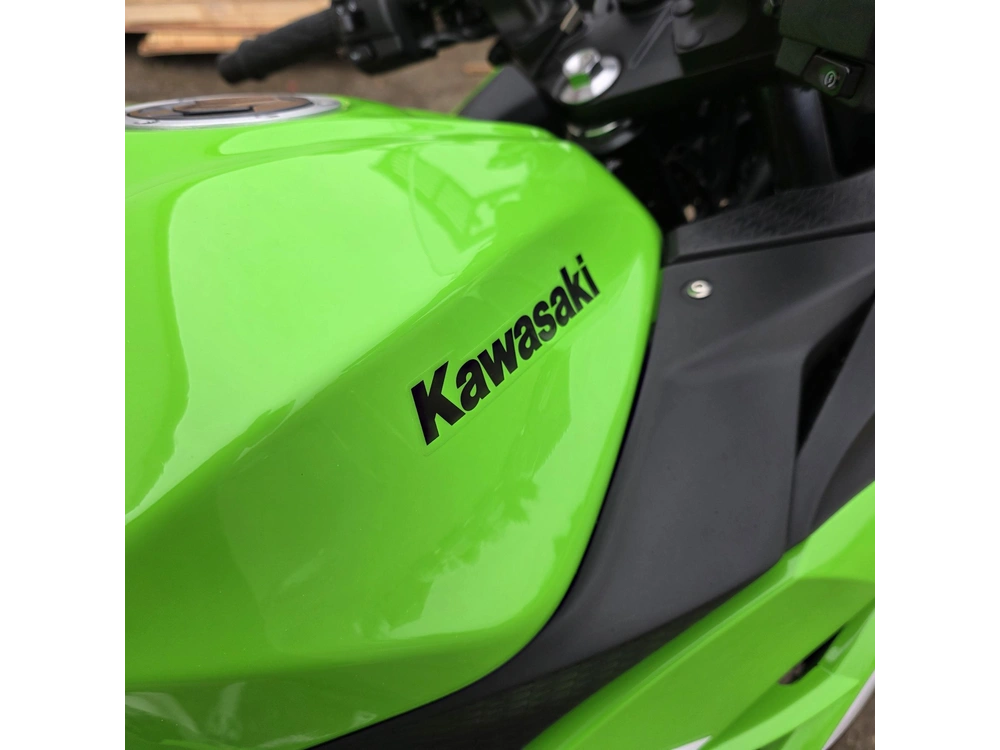 2026 Kawasaki Ninja 300 alt