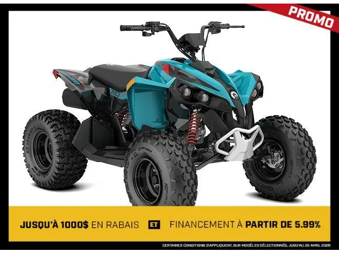 2026 Can-Am Renegade 110 EFI