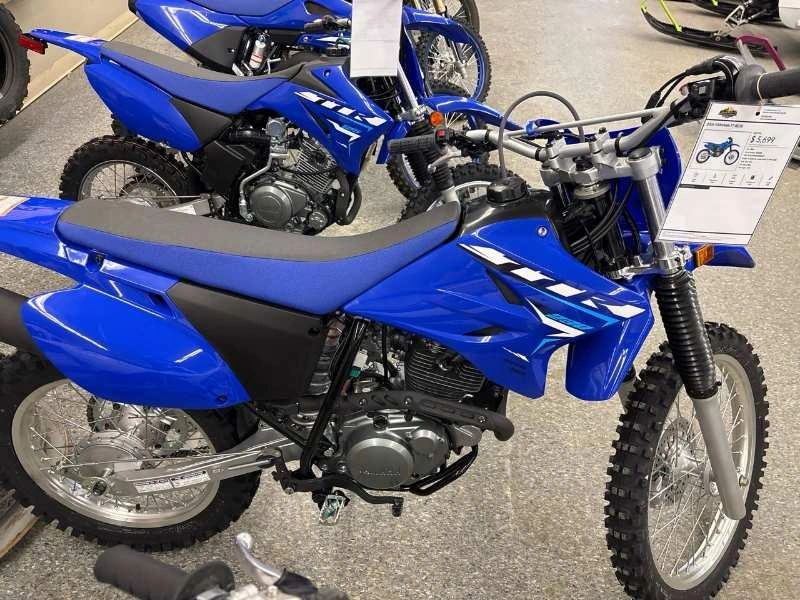 2026 Yamaha Tt-r230 alt