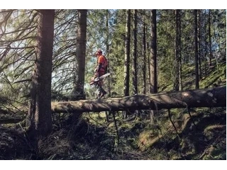 2023 Husqvarna 572xp 18" 58ga 3/8 alt