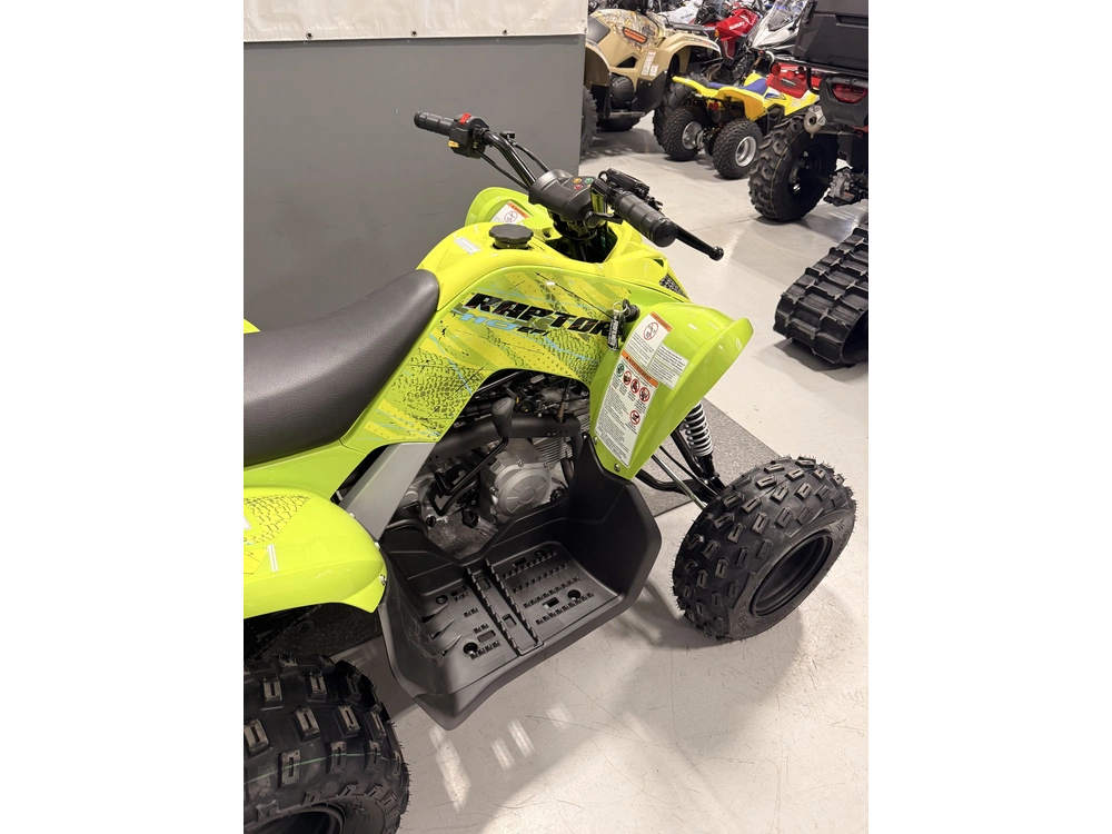 Yamaha Raptor 110 Raptor 110 2026 alt
