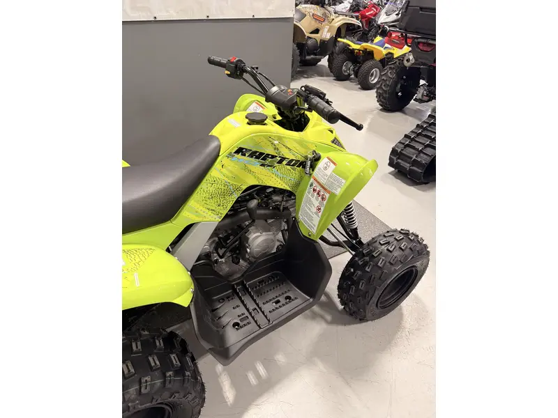Yamaha RAPTOR 110 RAPTOR 110 2026
