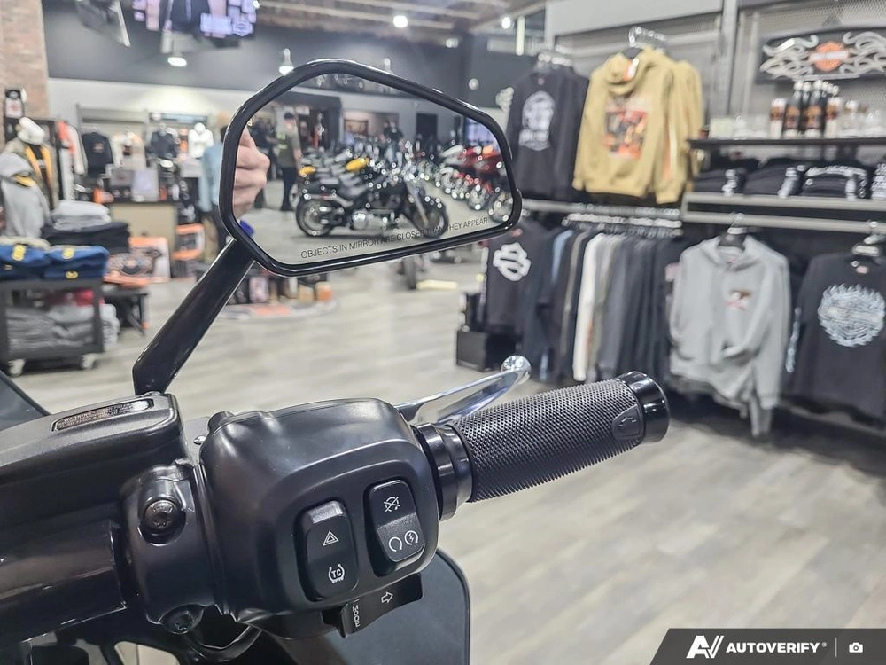 2025 Harley-davidson Fxlrs - Low Rider® S alt