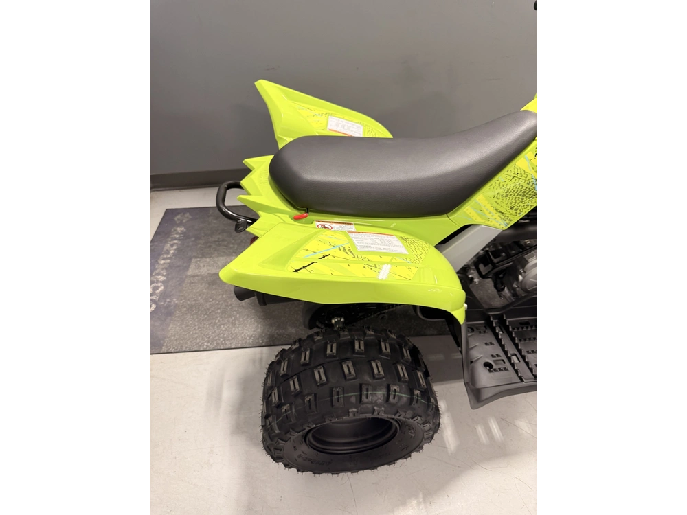 Yamaha Raptor 110 Raptor 110 2026 alt