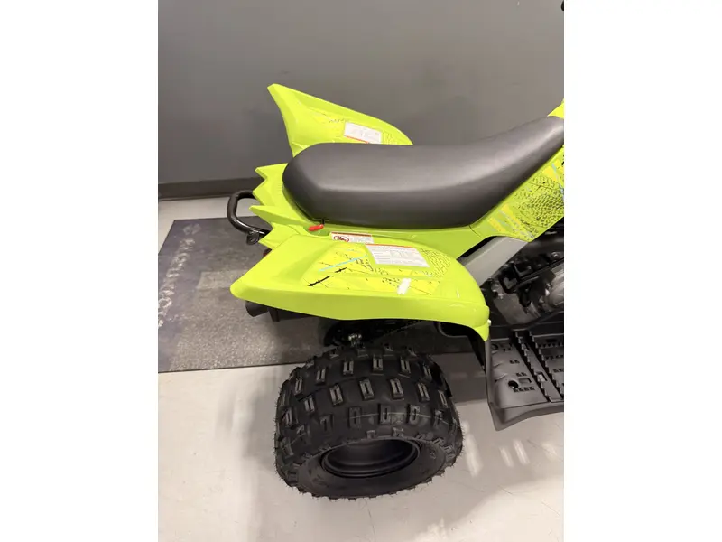 Yamaha RAPTOR 110 RAPTOR 110 2026