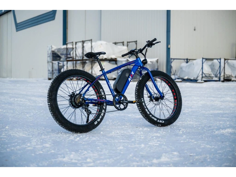 2024 Slane Ajax Fat Tire alt