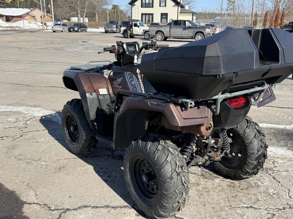 2020 Honda Fourtrax Foreman Rubicon 4x4 Eps alt