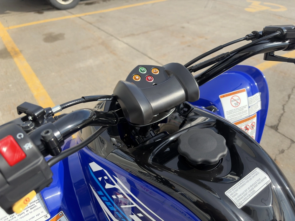 2026 Yamaha Raptor 110 alt