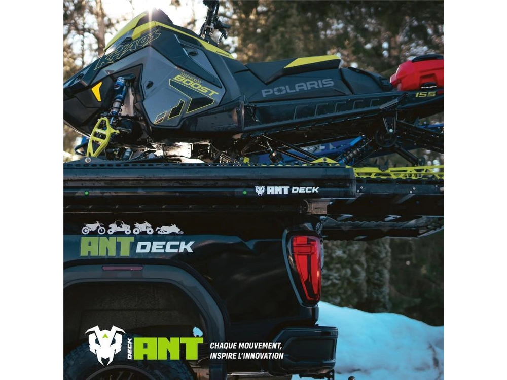 2025 Ant Rover Fixe 6’ alt