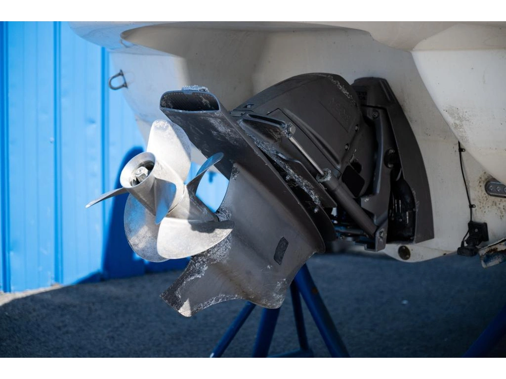 Stingray 250 Lr 2018 alt