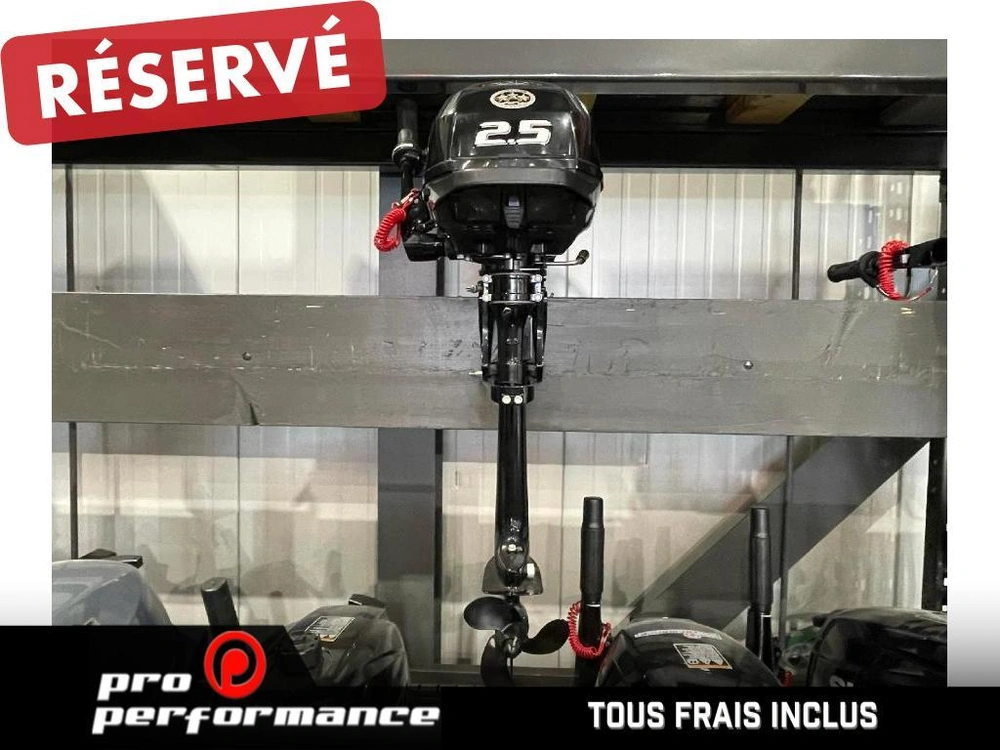 2022 Suzuki Moteur Hors-bord Df2.5s alt