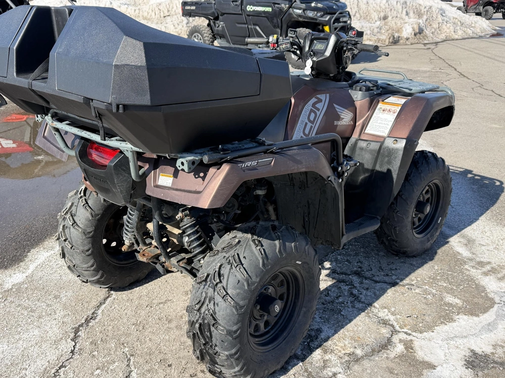 2020 Honda Fourtrax Foreman Rubicon 4x4 Eps alt