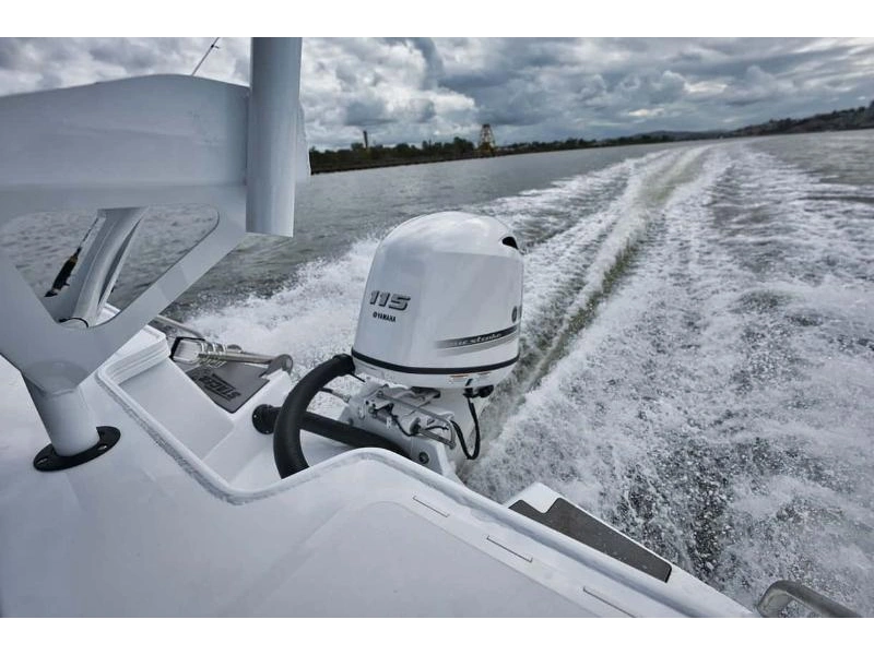 2026 Yamaha F115lb alt