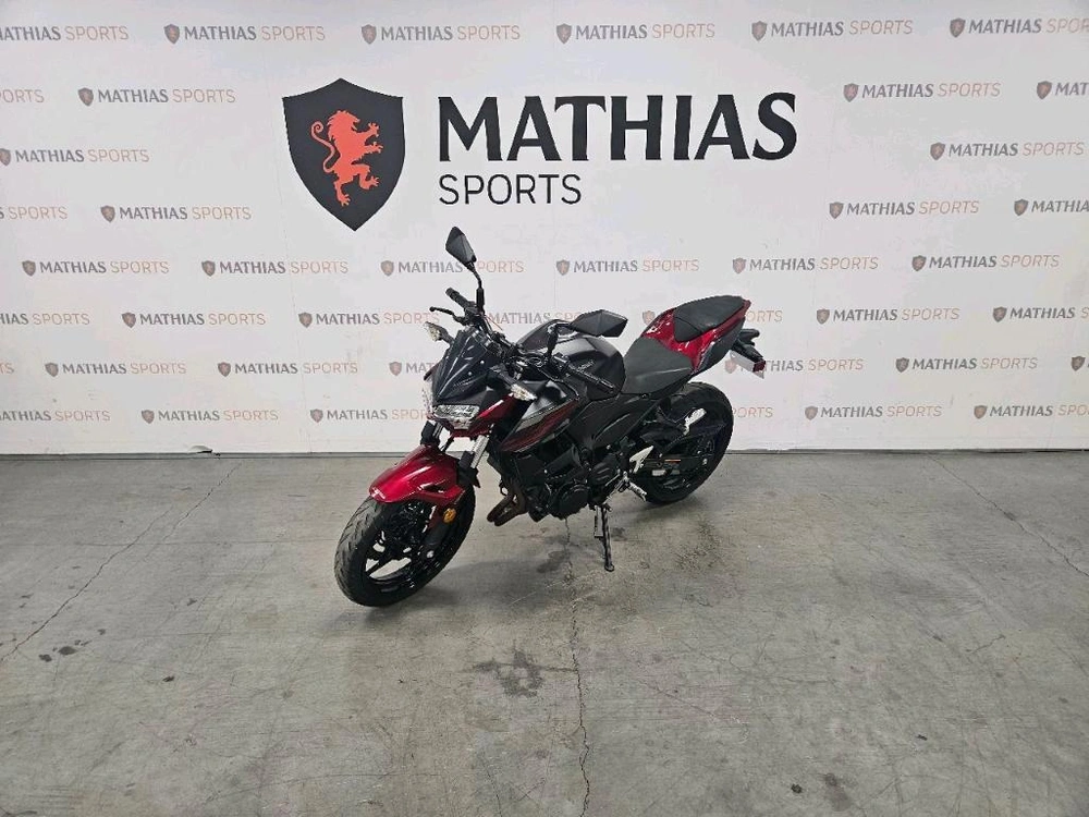 2019 Kawasaki Z400 alt