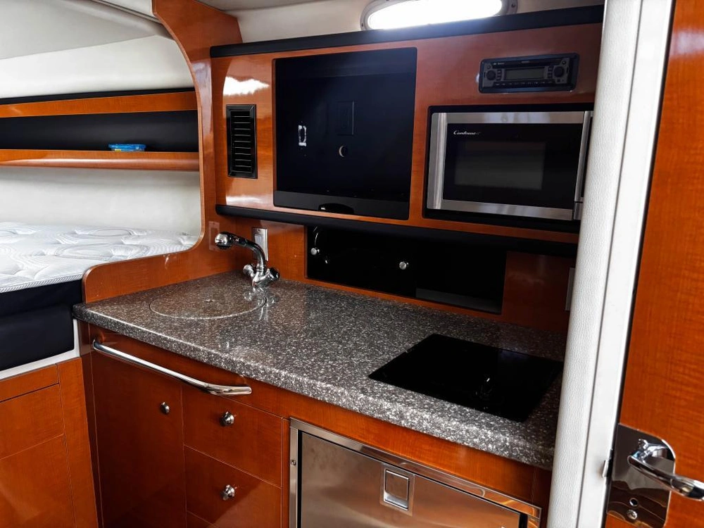 2010 Chaparral 290 Signature alt