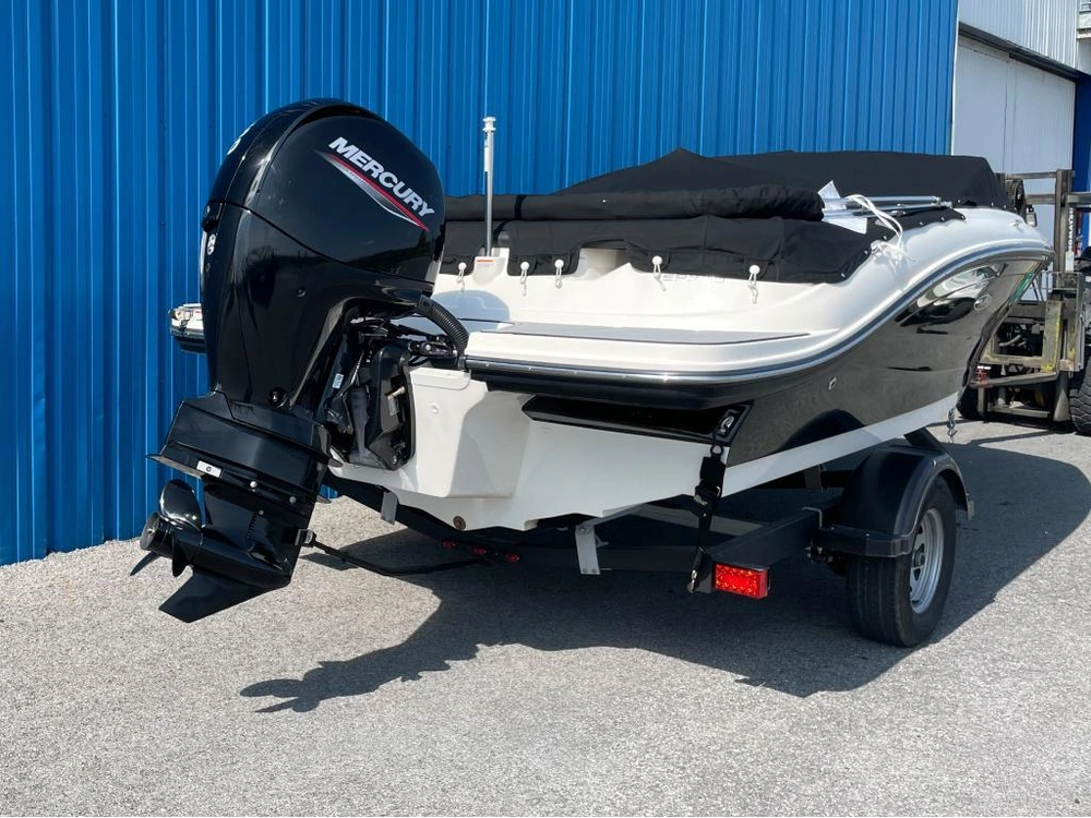 Sea Ray 190 Spo 2021 alt