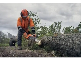 2026 Husqvarna 540xp Miii 16" 50ga 3/8 Mini alt