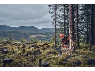 2026 Husqvarna 540xp Miii 16" 50ga 3/8 Mini alt