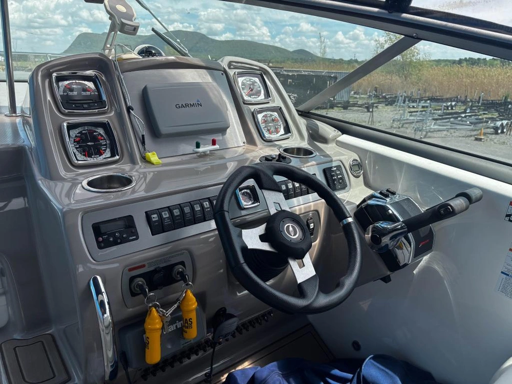 2010 Chaparral 290 Signature alt