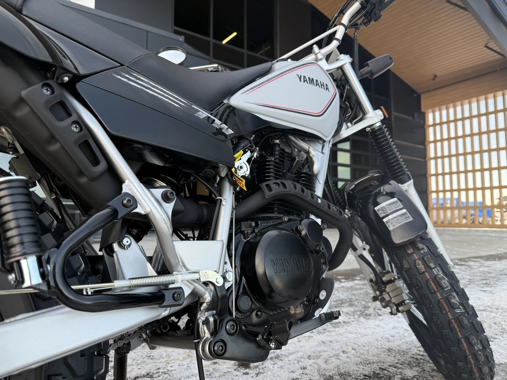 2026 Yamaha Tw200 alt