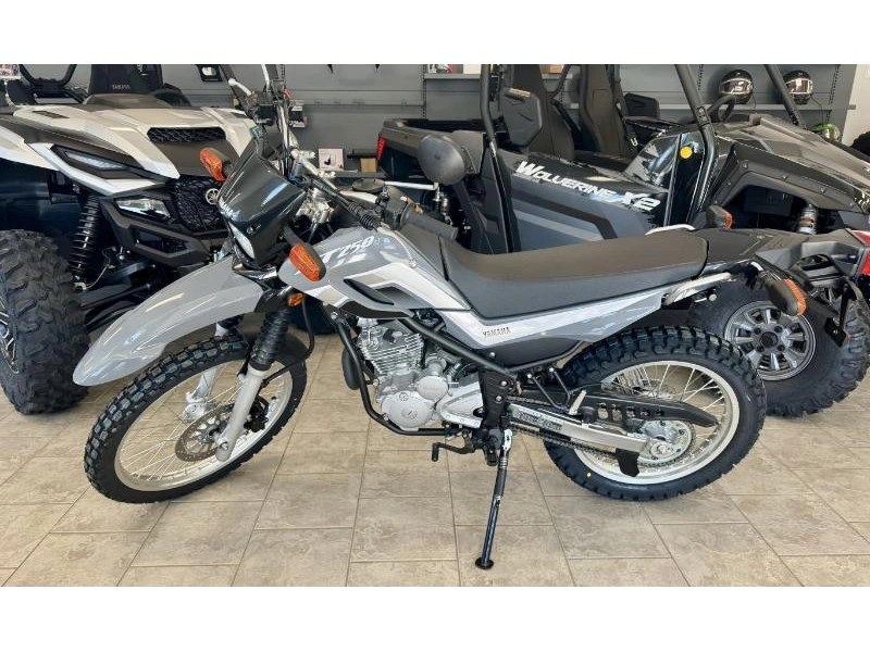 2025 Yamaha Xt250 alt