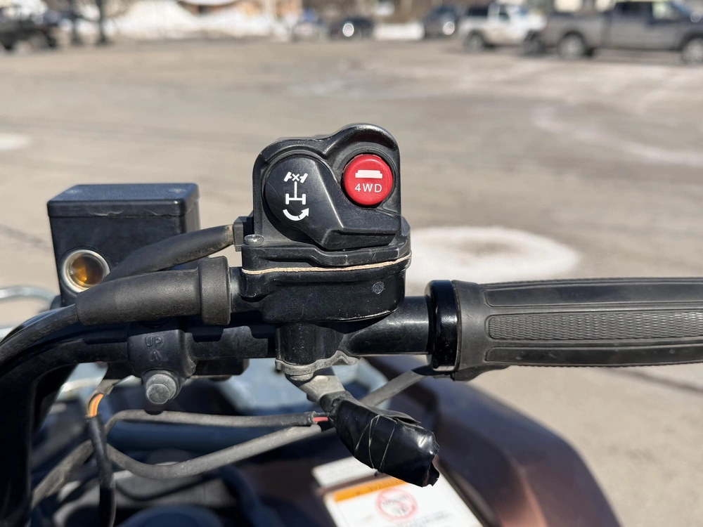 2020 Honda Fourtrax Foreman Rubicon 4x4 Eps alt