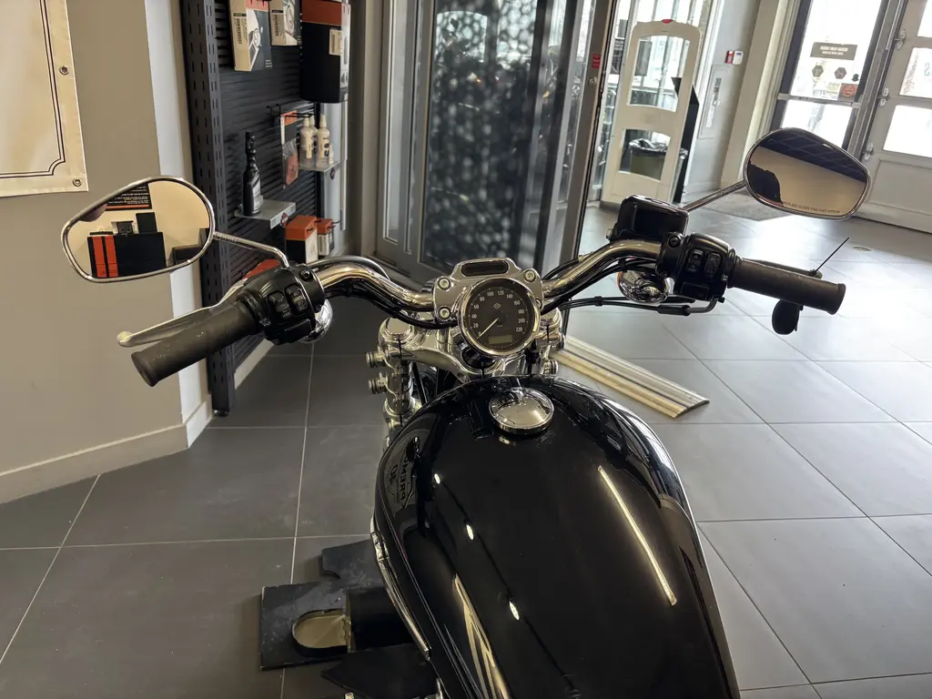Harley-Davidson SPORTSTER XL1200 CUSTOMXL1200C 2015