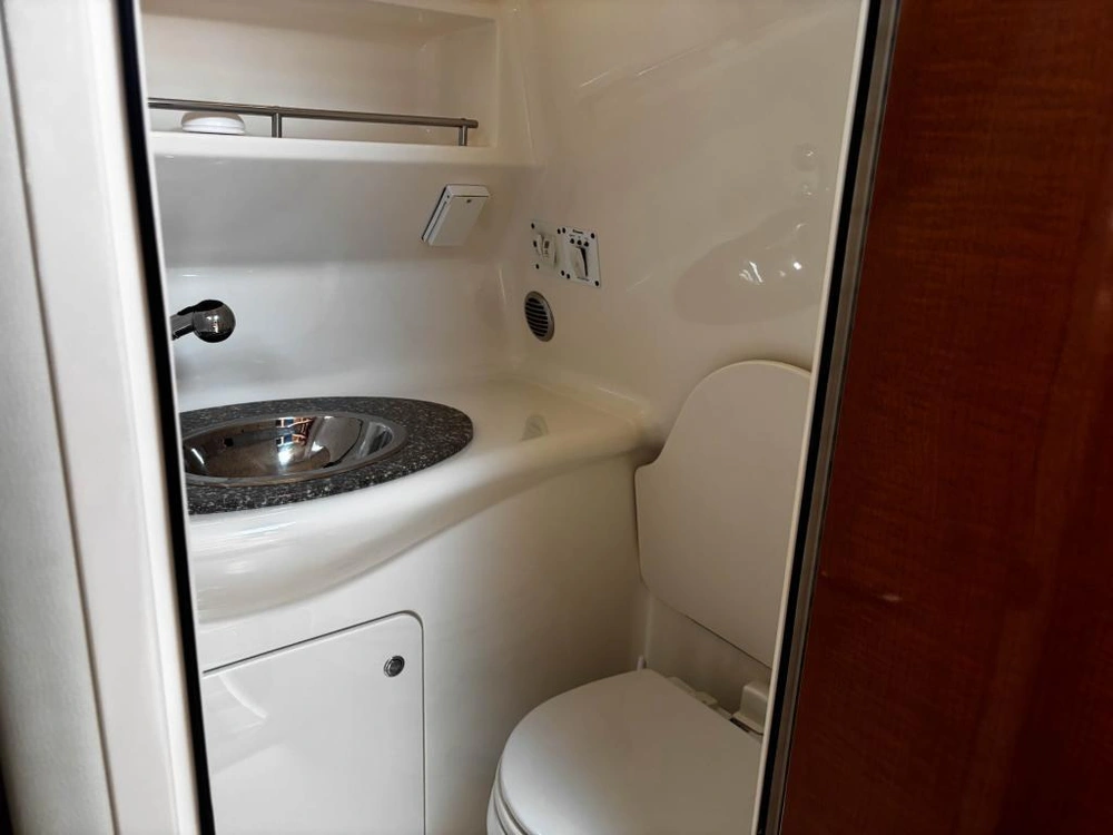 2010 Chaparral 290 Signature alt