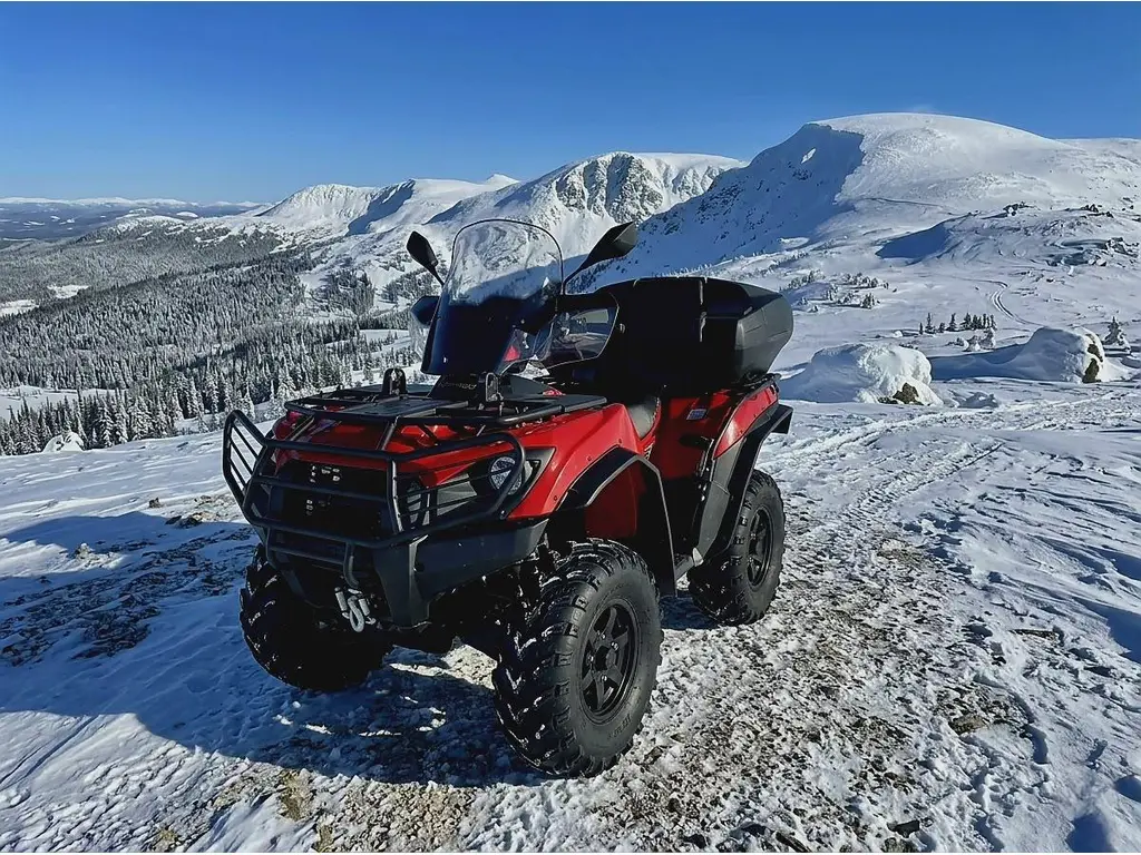 2022 Kawasaki brute force 750