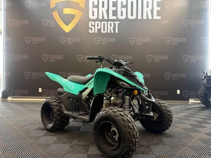 Yamaha Raptor 110 2025 alt