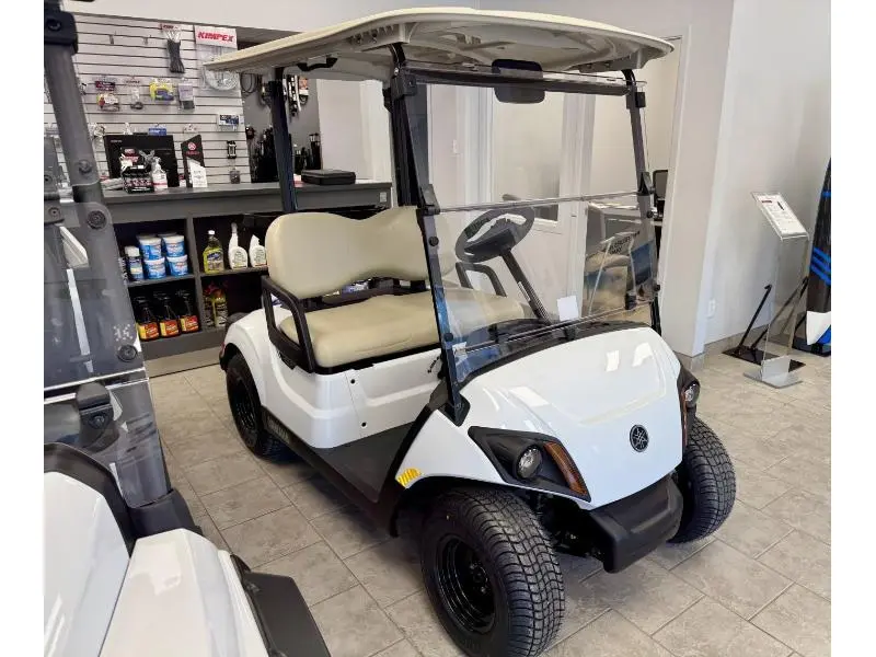 Yamaha DRIVE 2 PTV 2025