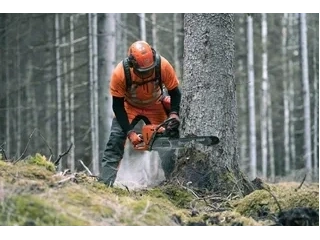 2023 Husqvarna 572xp 18" 58ga 3/8 alt