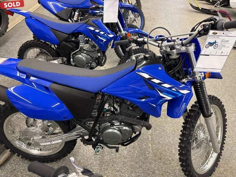 2026 Yamaha Tt-r230 alt