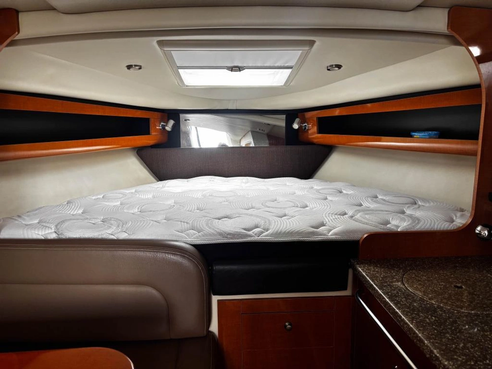 2010 Chaparral 290 Signature alt