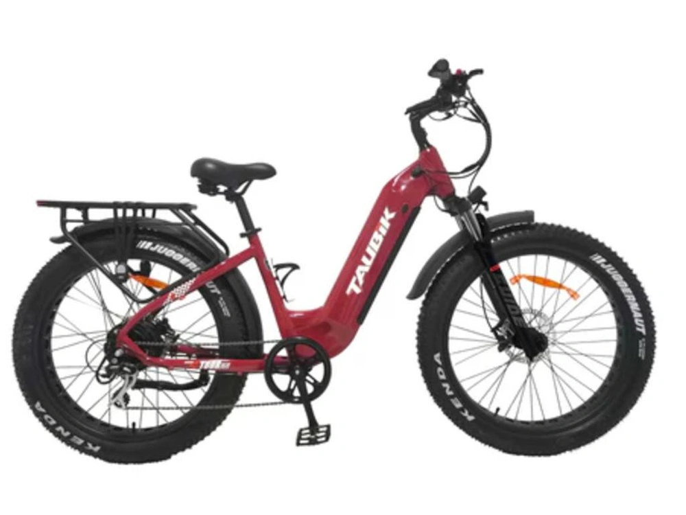 2024 Taubik Tour alt