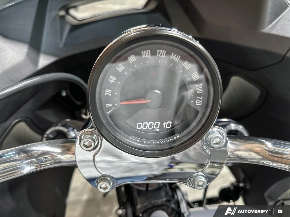 2026 Harley-davidson Low Rider St alt