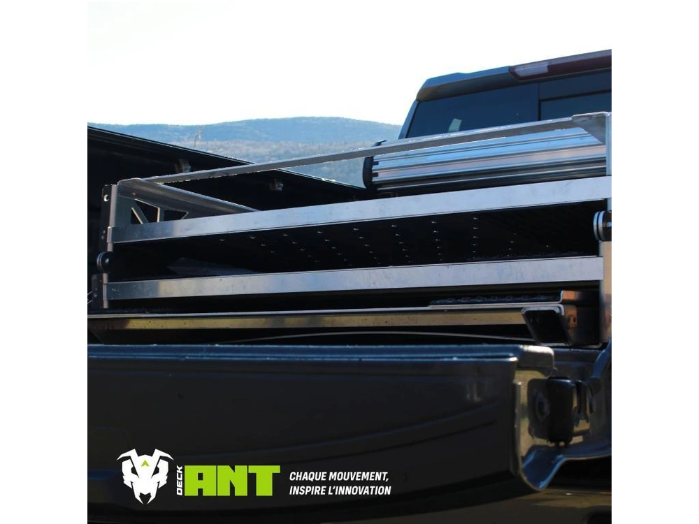 2025 Ant Needle Pliable 6’ alt