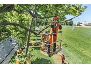 2023 Husqvarna T435 14" Top Handle Chainsaw alt