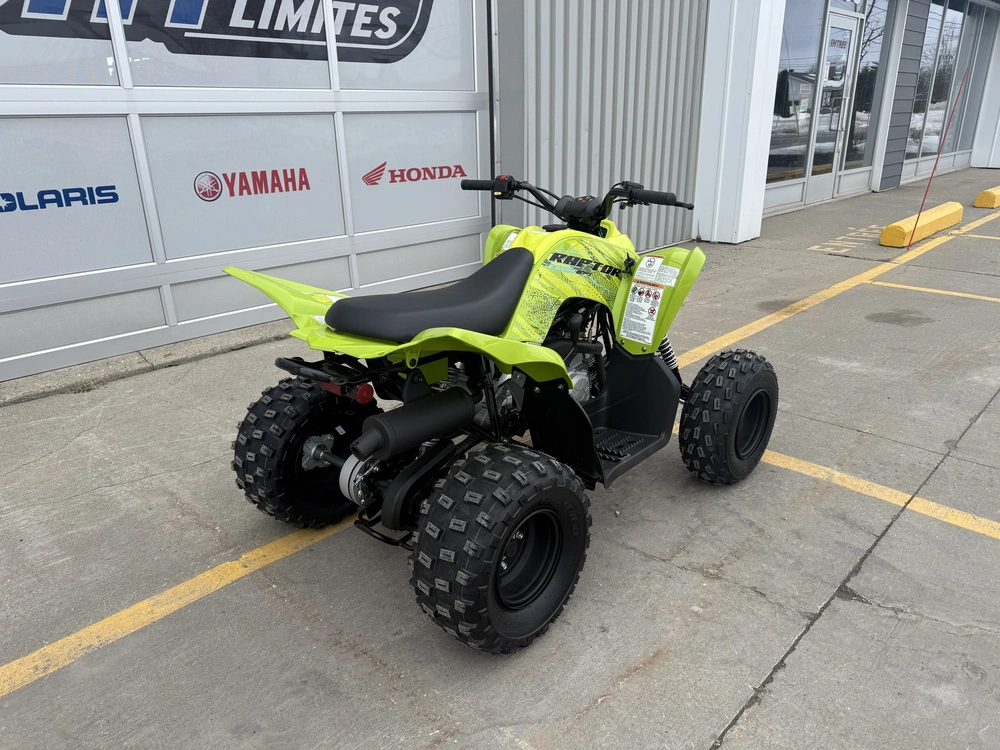 Yamaha Raptor 110 2026 alt